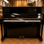 Irmler Upright Model SP125