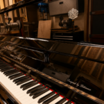 Irmler Upright Model SP125